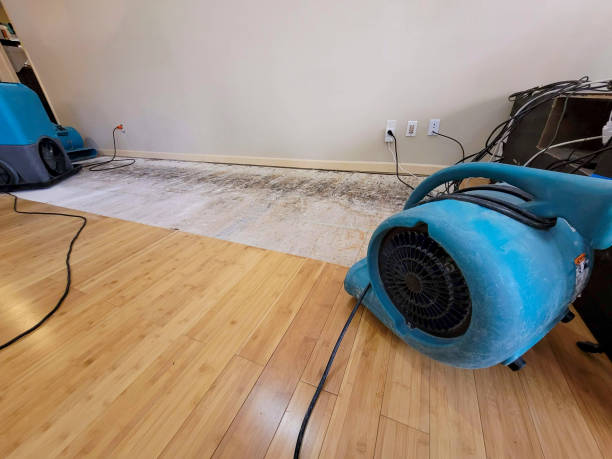Professional Water Extraction technician working in Lithia Springs, GA